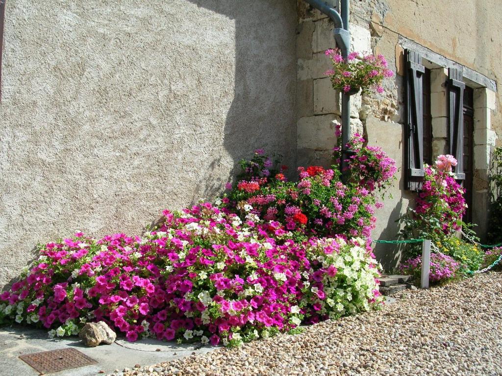 Hotel Logis Le Moulin Fleuri Veigné Esterno foto